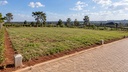 Form photo 13505 - 02-plot.png